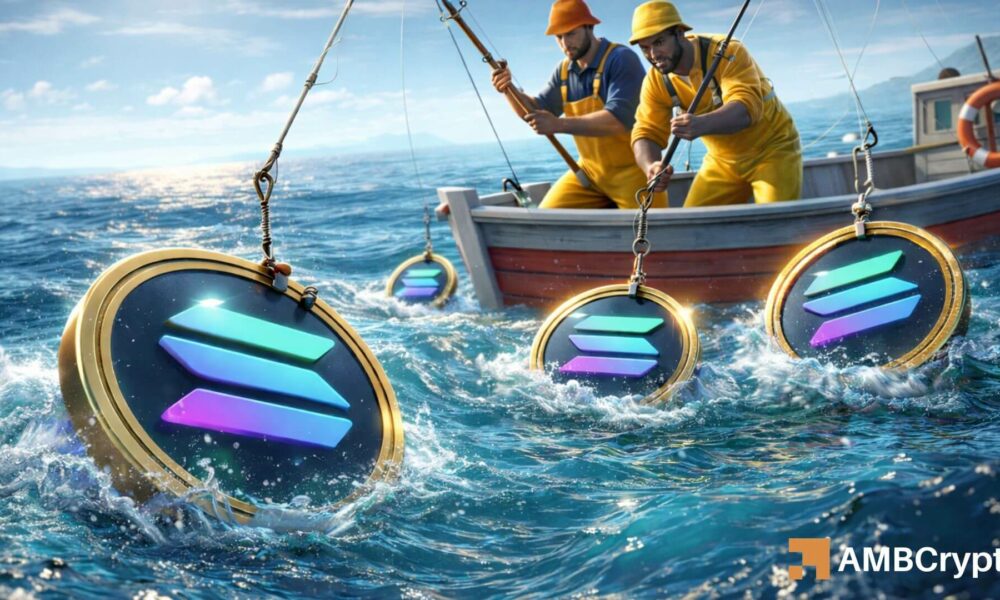 Liquidity floods Solana as SOL reclaims EMA Ribbon to hit $85 – Details Liquidity floods Solana as SOL reclaims EMA Ribbon to hit $85 – Details