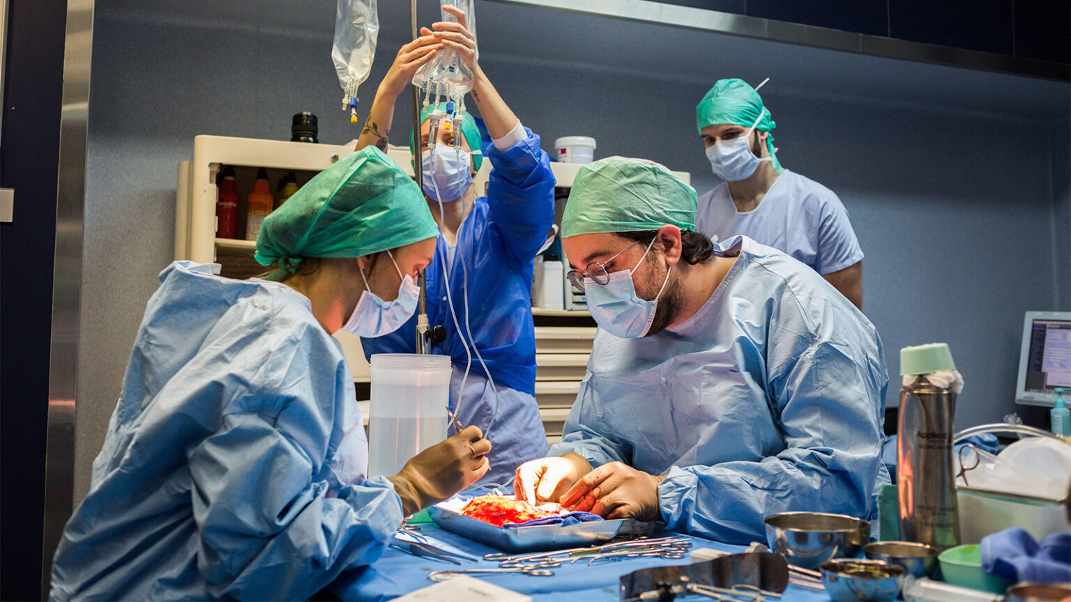 Organ Donation Guidance From CMS Warns Against Coercion, Rushed Decision-Making