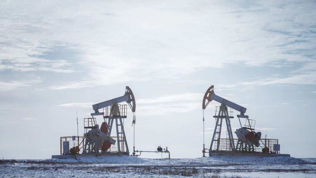 Tamilnadu Petroproducts shuts plant due to LPG shortage, cites force majeure