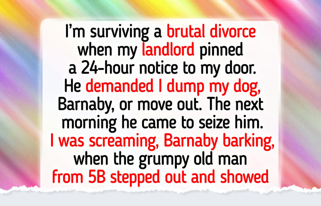 12 Moments That Show Quiet Kindness Can Defeat Life’s Hardest Trials