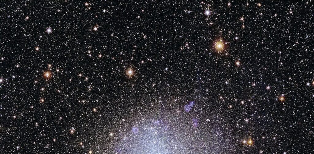 ‘Project Hail Mary’ explores unique forms of life in space – 5 essential reads on searching for aliens that look nothing like life on Earth ‘Project Hail Mary’ explores unique forms of life in space – 5 essential reads on searching for aliens that look nothing like life on Earth