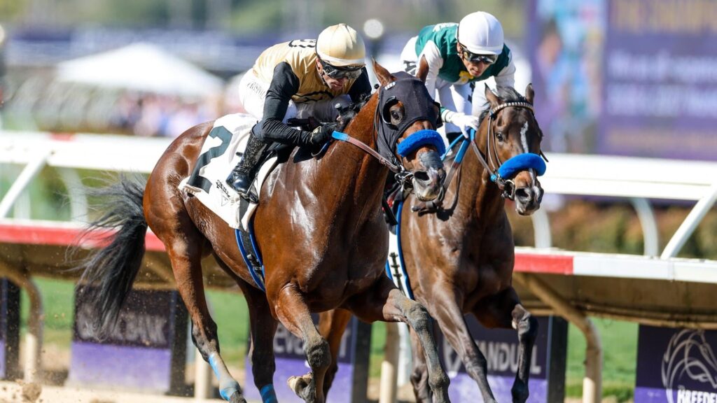 2026 Jeff Ruby Steaks odds, predictions, horses, time: Picks from expert who hit Kentucky Derby exacta 2026 Jeff Ruby Steaks odds, predictions, horses, time: Picks from expert who hit Kentucky Derby exacta