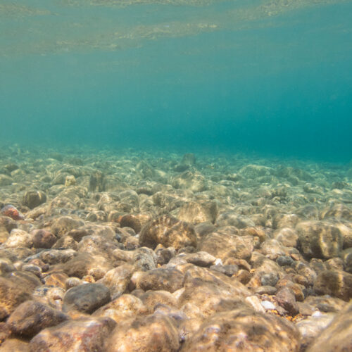 Mining the deep ocean Mining the deep ocean