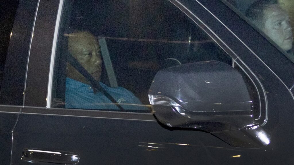 Tiger Woods says he is seeking treatment after DUI rollover crash in Florida Tiger Woods says he is seeking treatment after DUI rollover crash in Florida