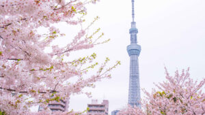 Asia-Pacific markets mostly rise in Easter trade on hopes for Hormuz reopening