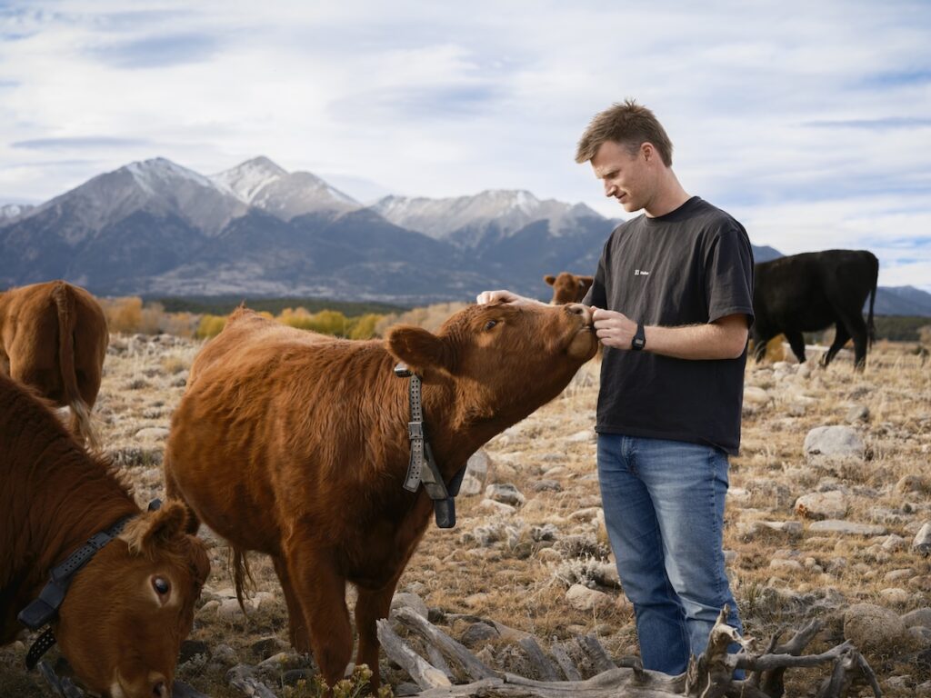 Peter Thiel’s big bet on solar-powered cow collars Peter Thiel’s big bet on solar-powered cow collars