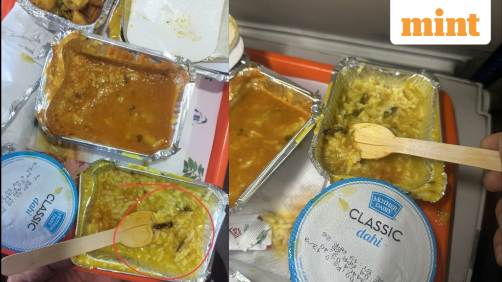 IRCTC imposes  ₹10 lakh penalty on vendor after insect found in Vande Bharat meal