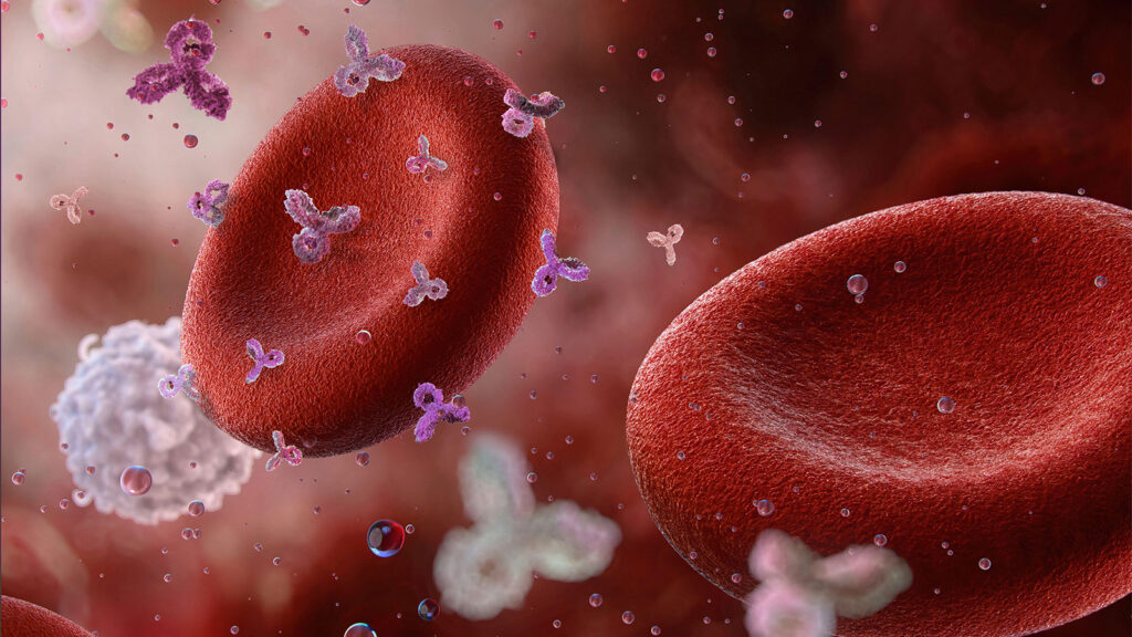 Anti-CD38 Antibody Safe, Effective in Immune Thrombocytopenia