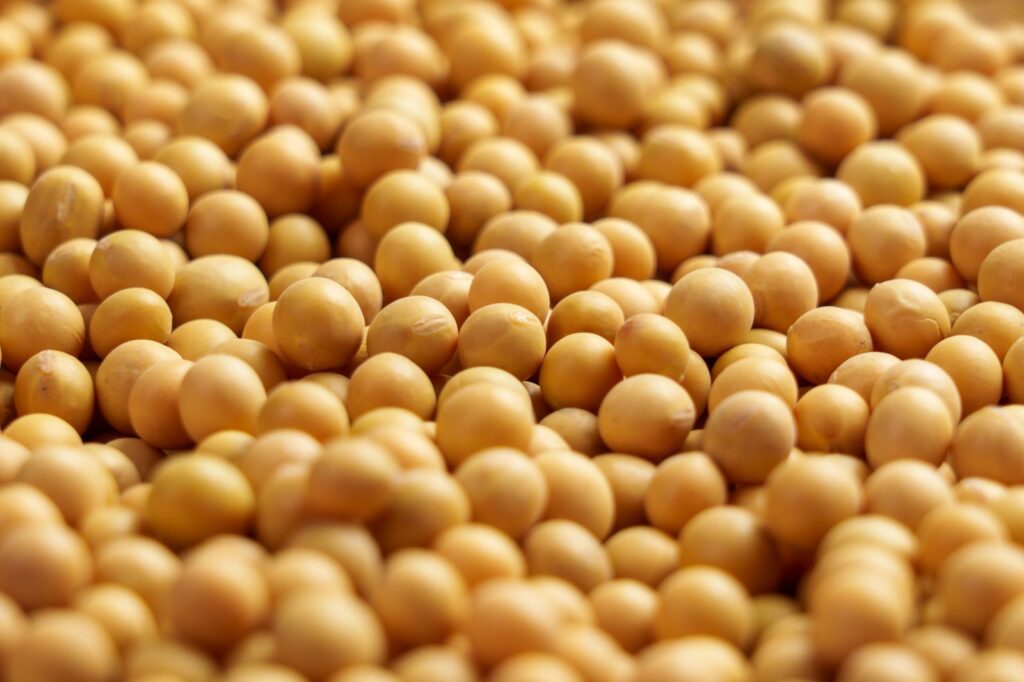 Soybeans Starting Thursday with Gains Soybeans Starting Thursday with Gains