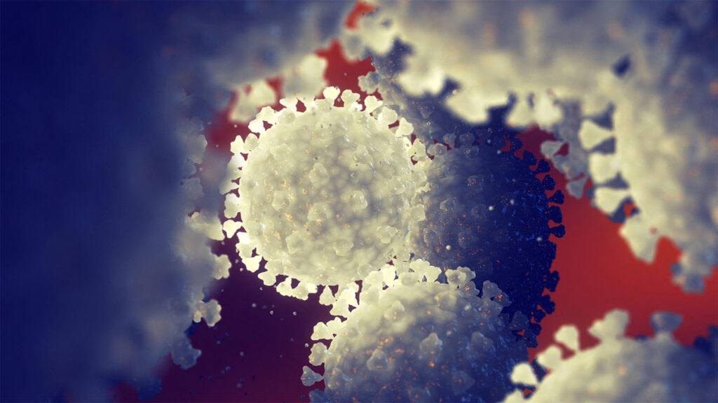 A ‘Ring Strategy’ for Bird Flu