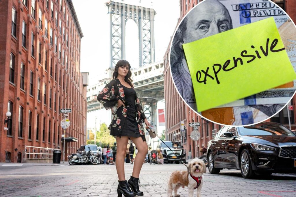 The $50,000 puppy: Pet debt crisis reaching breaking point…