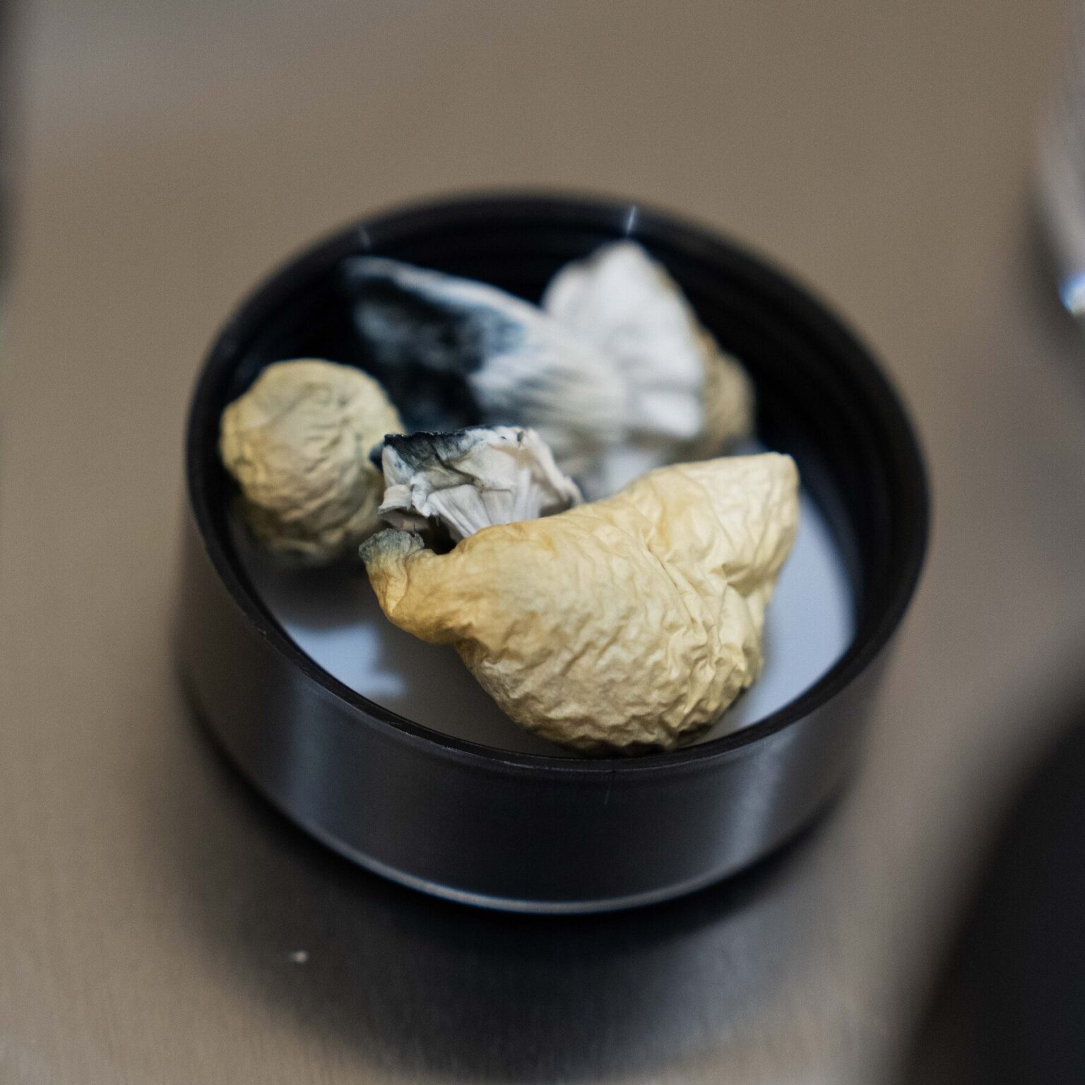 Trump Signs Executive Order to Loosen Restrictions on Psychedelic Drugs