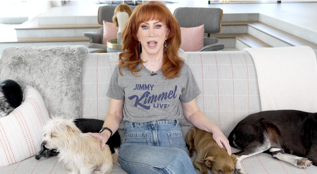 Kathy Griffin rips Elisabeth Hasselbeck’s ‘indignant stupidity’, dubs Meghan McCain an ‘annoying c–t’ in vicious attack