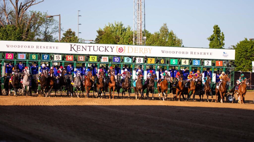 Robusta profile: 2026 Kentucky Derby odds, post position, history and more to know