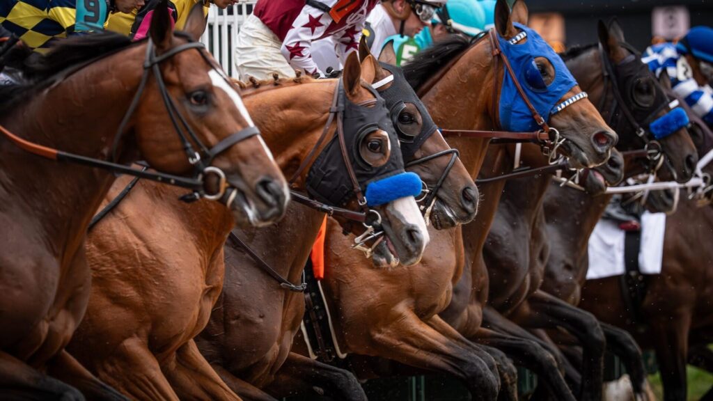 2026 Kentucky Derby start time: When the horses in the field will reach the starting gate for post time