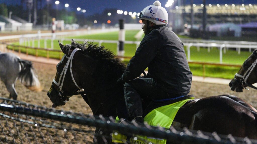 2026 Kentucky Derby predictions, odds, contenders: Picks by expert who has cashed 22 Triple Crown races