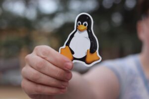 Linux ‘Copy Fail’ flaw lets anyone hijack system privileges. Update ASAP