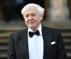 David Attenborough: How to watch his 100th birthday TV special