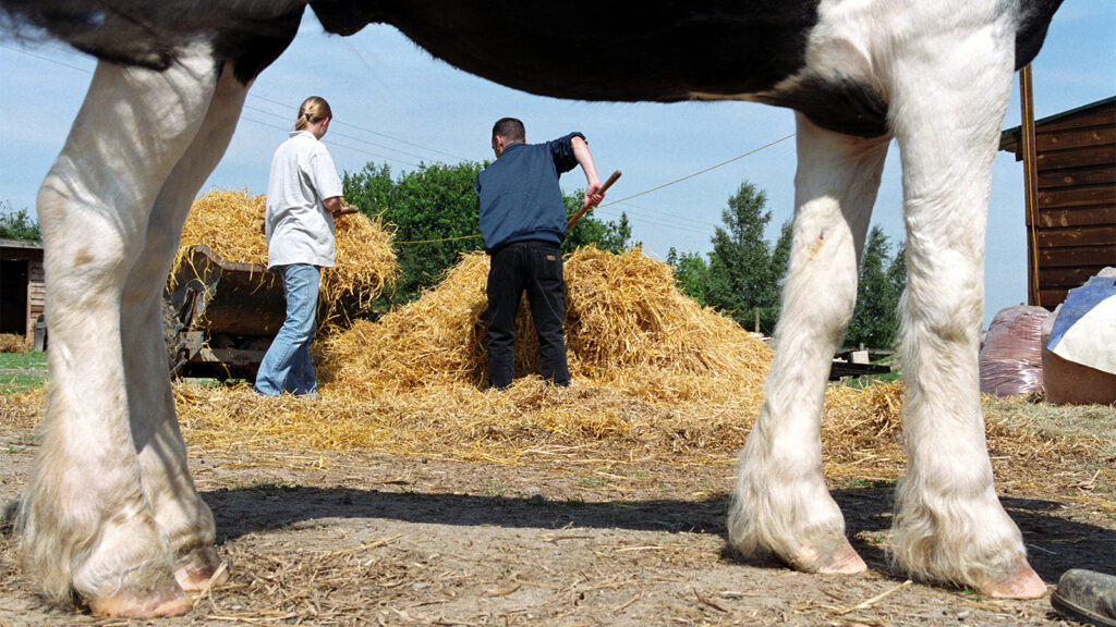Harm Reduction Works. ‘Wellness Farms’ Won’t.