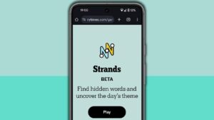 NYT Strands hints and answers for Thursday, May 14 (game #802)