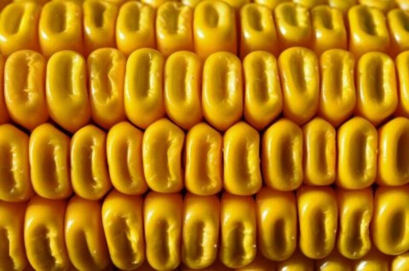 Corn Facing Thursday Pressure Corn Facing Thursday Pressure