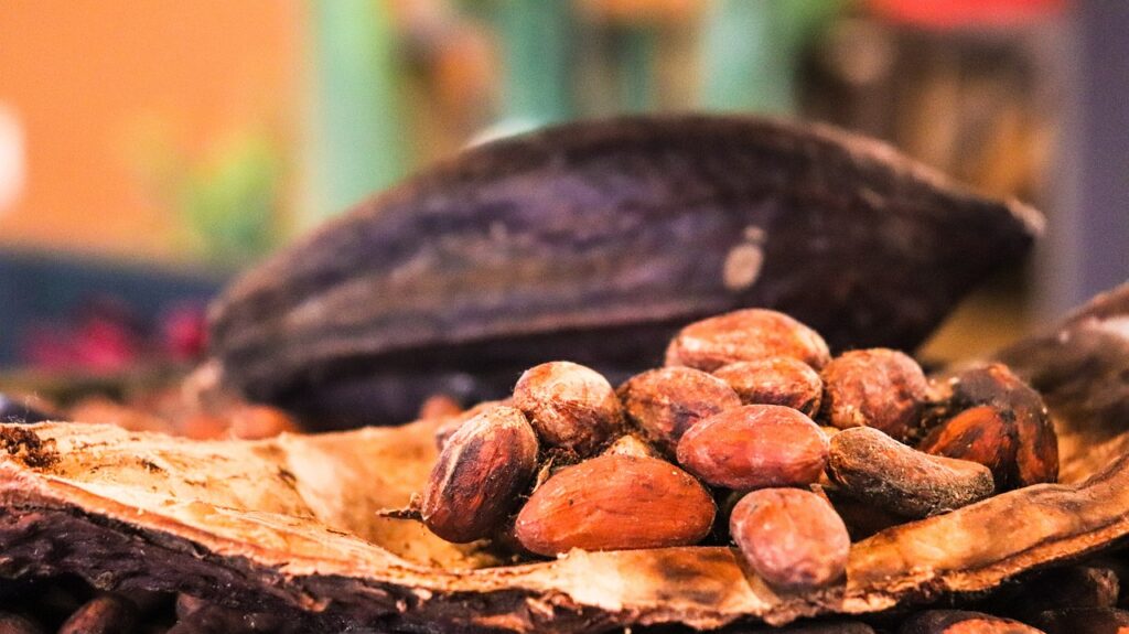 Cocoa Prices Sharply Lower on Improved Supply Outlook