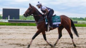 Preakness Stake 2026 odds, post positions: Iron Honor, Incredibolt, Taj Mahal predictions from racing expert
