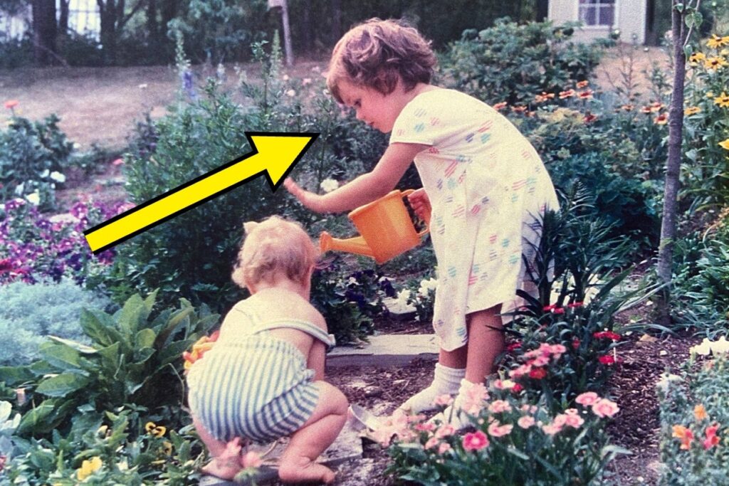 Older Children Are Apparently Way Better At This 1 Skill Than Younger Siblings, And It Actually Makes So Much Sense