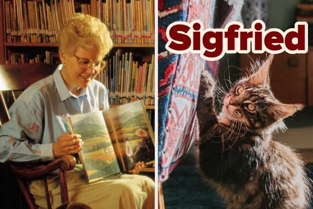 Which Cat Should You Adopt? Turn Into A Full-On Cat Lady To Find Out