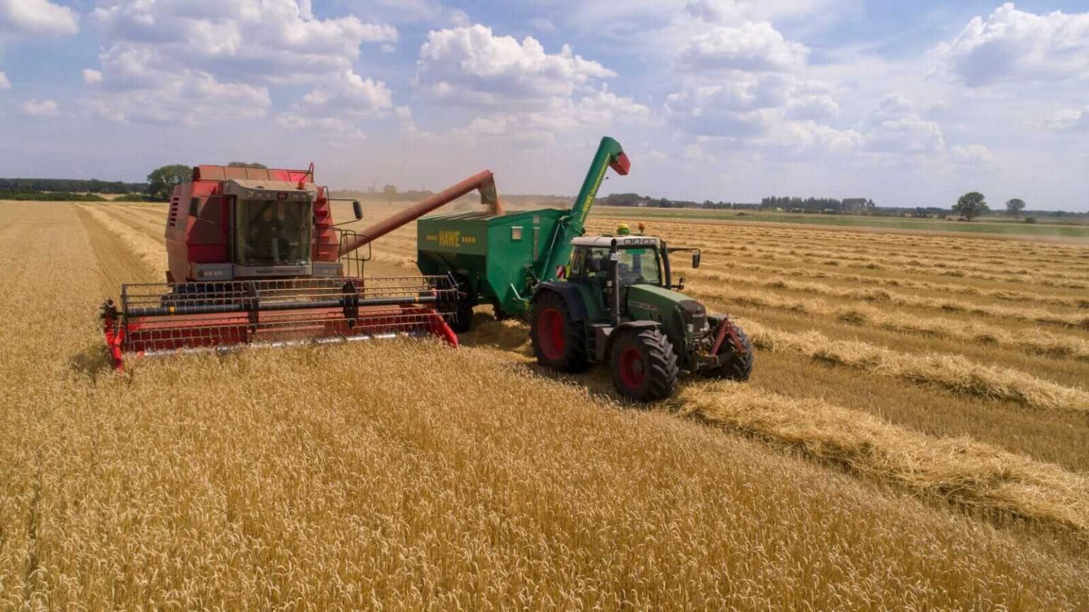 Wheat Easing Lower at Monday’s Midday