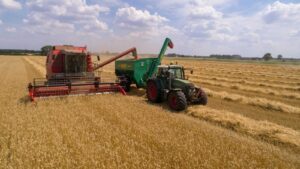 Wheat Easing Lower at Monday’s Midday