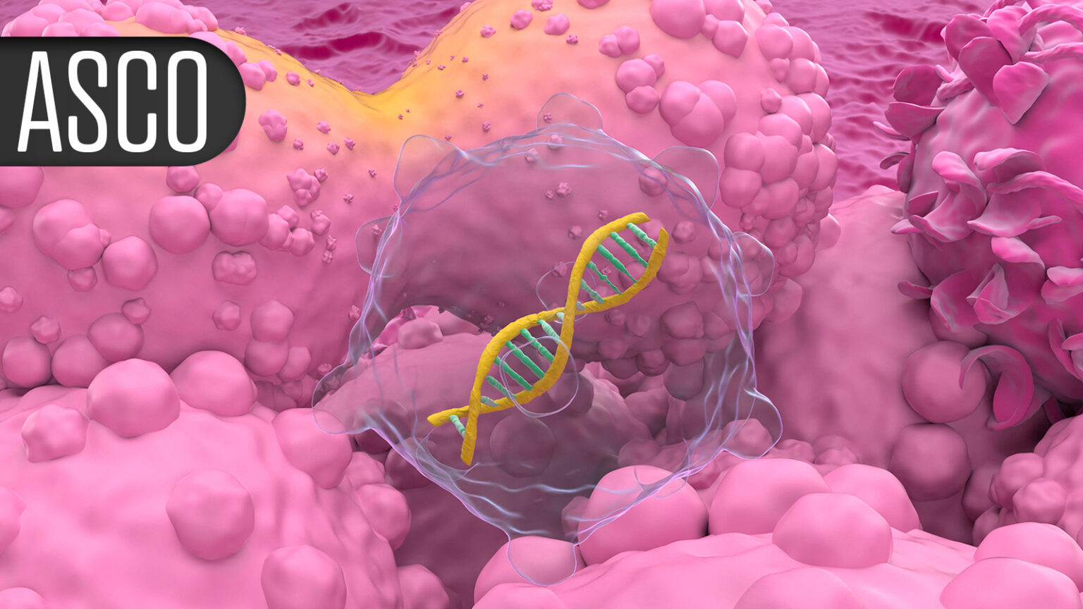 Non-Operative Treatment for CRC May Include Observation After Complete Response