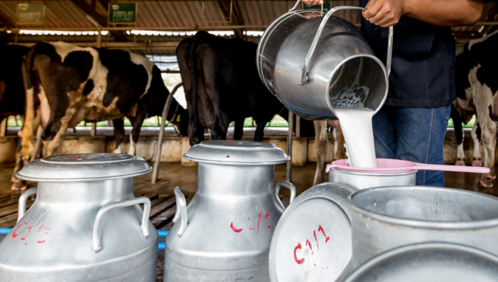 Dozens sick in Idaho outbreak tied to raw milk