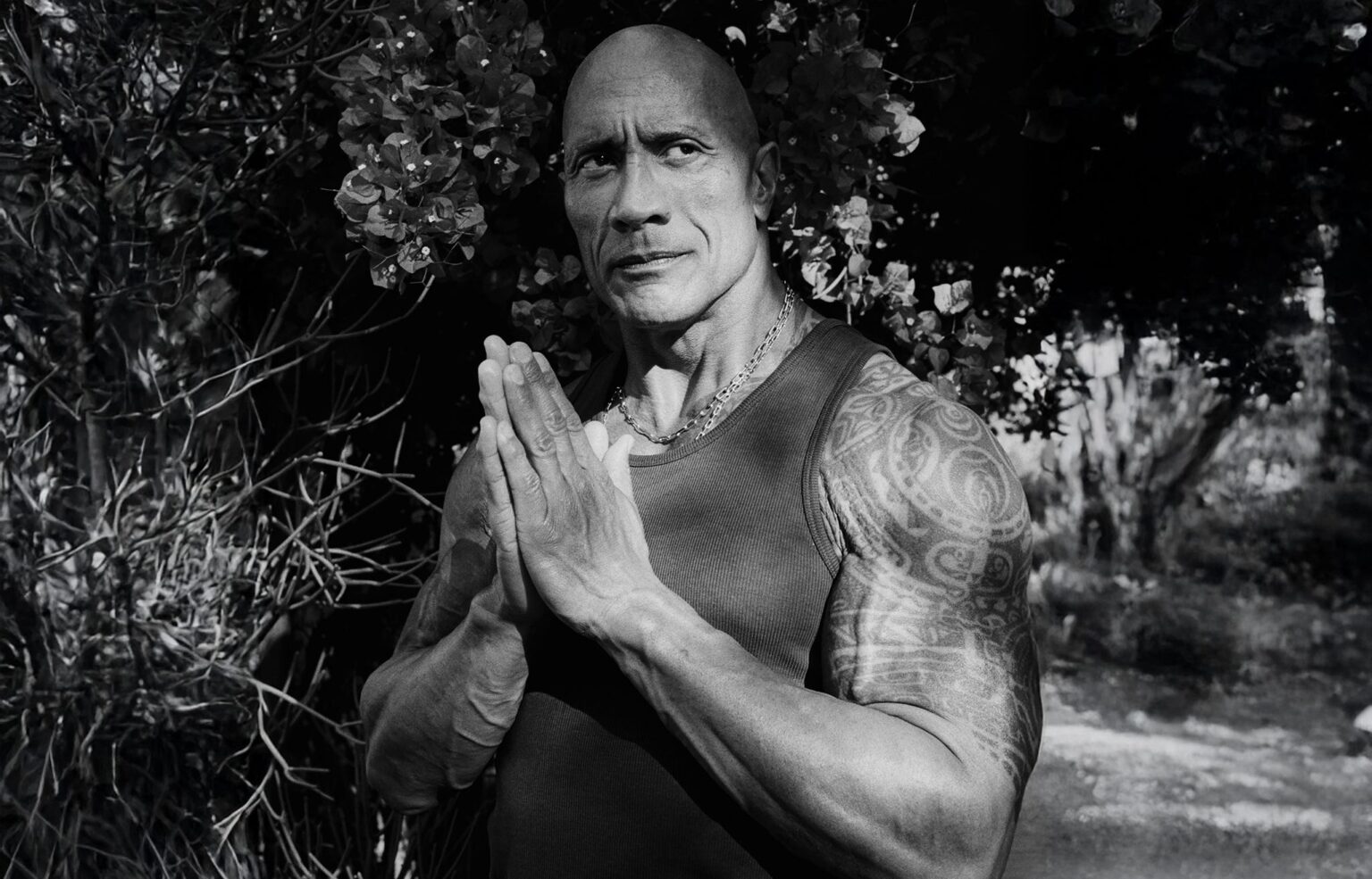 Dwayne Johnson Would Like a Word, Please