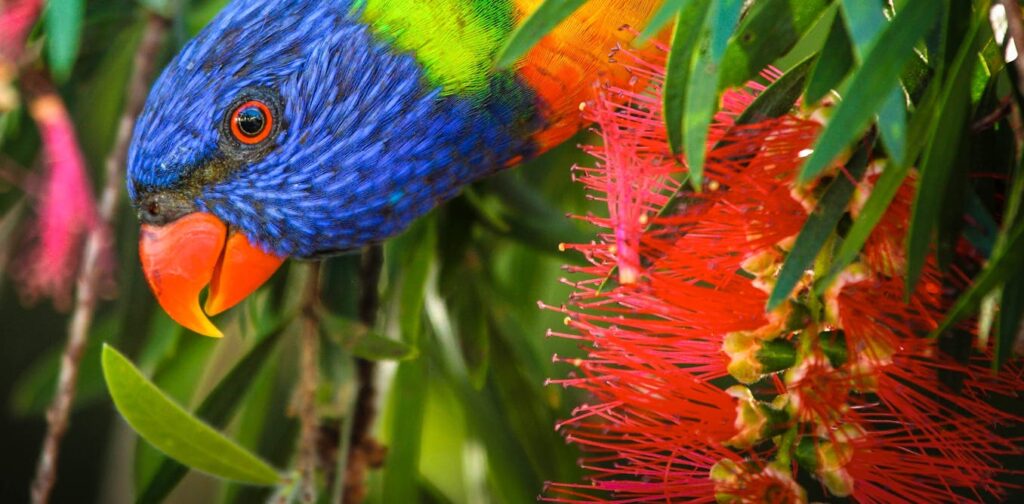 800 visits to a suburban park: inside an epic 40-year birdwatching quest