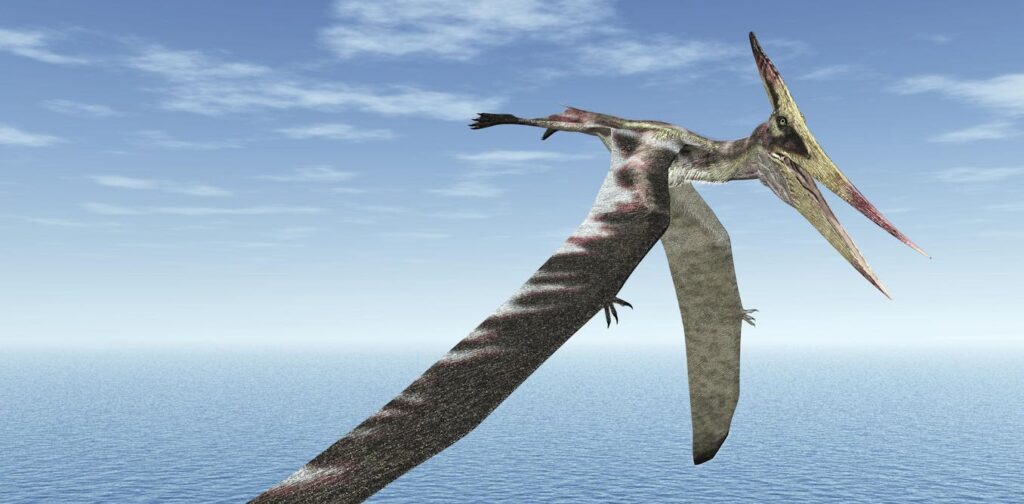 Microbes destroyed an ancient pterosaur’s wingbone, then preserved it for 100 million years