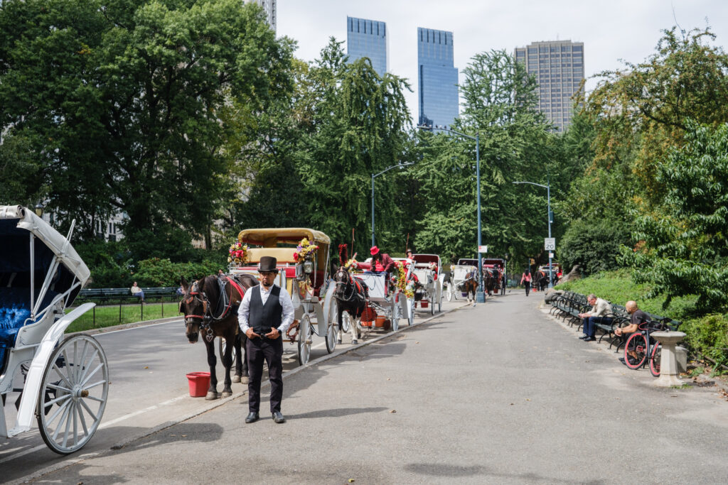 Mamdani pressured to ban NYC’s iconic horse carriage rides after teen tourist’s death