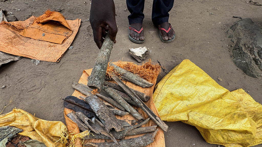 Ebola Outbreaks Complicated by Victims Who Prefer Traditional Healers Over Hospitals