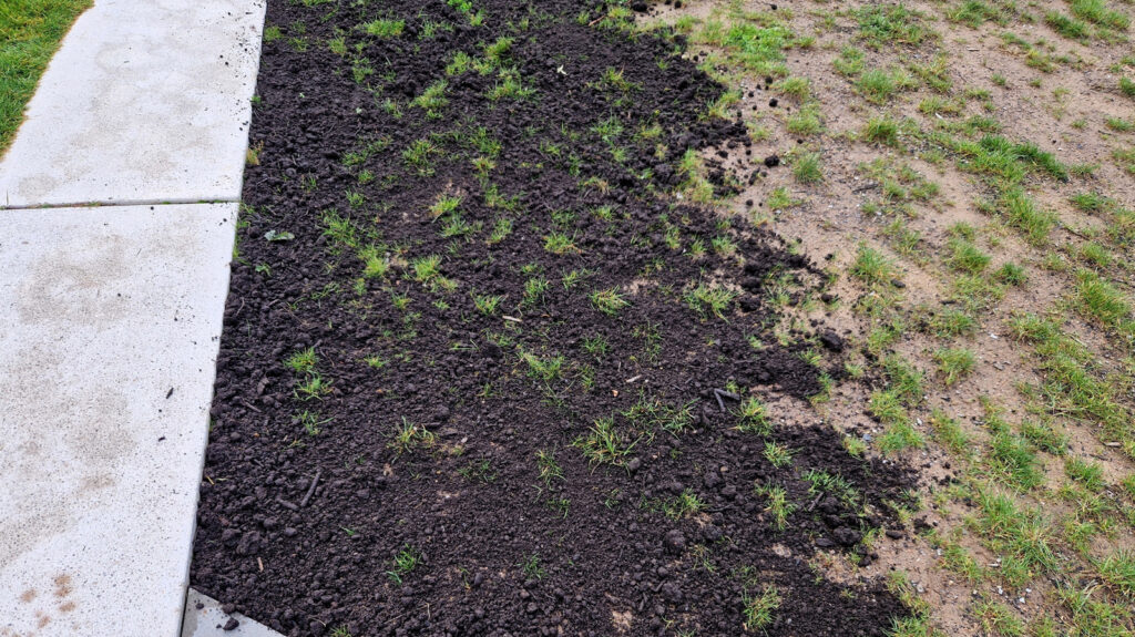 This Simple Tool Can Keep Your Lawn Level Without Breaking The Bank