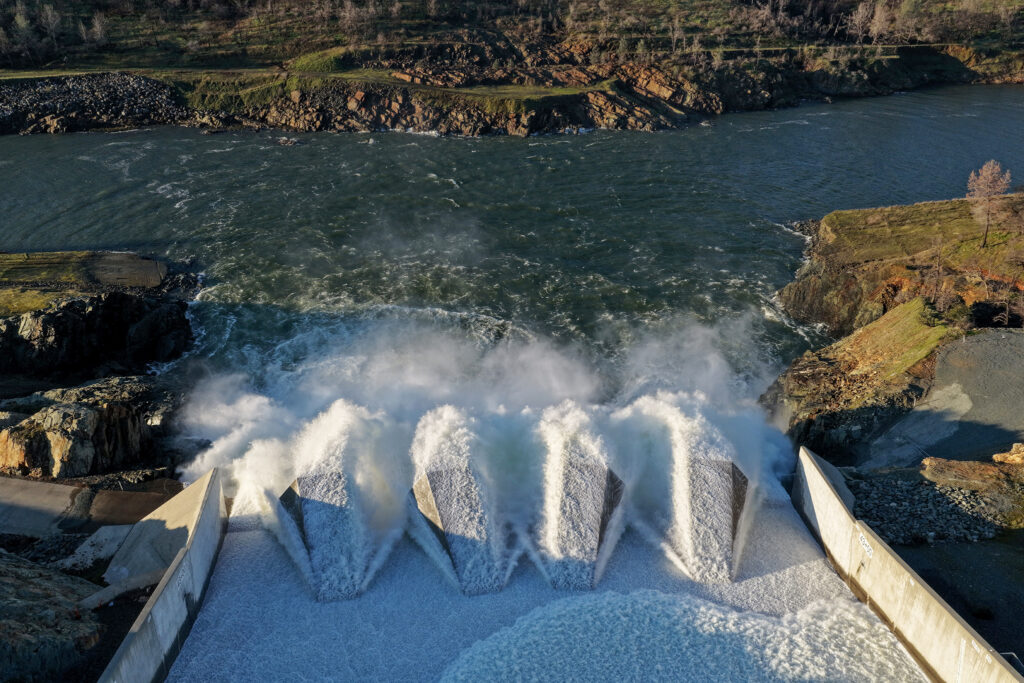 ‘No point of return’: Calif. won’t keep golden mussels from second-largest reservoir