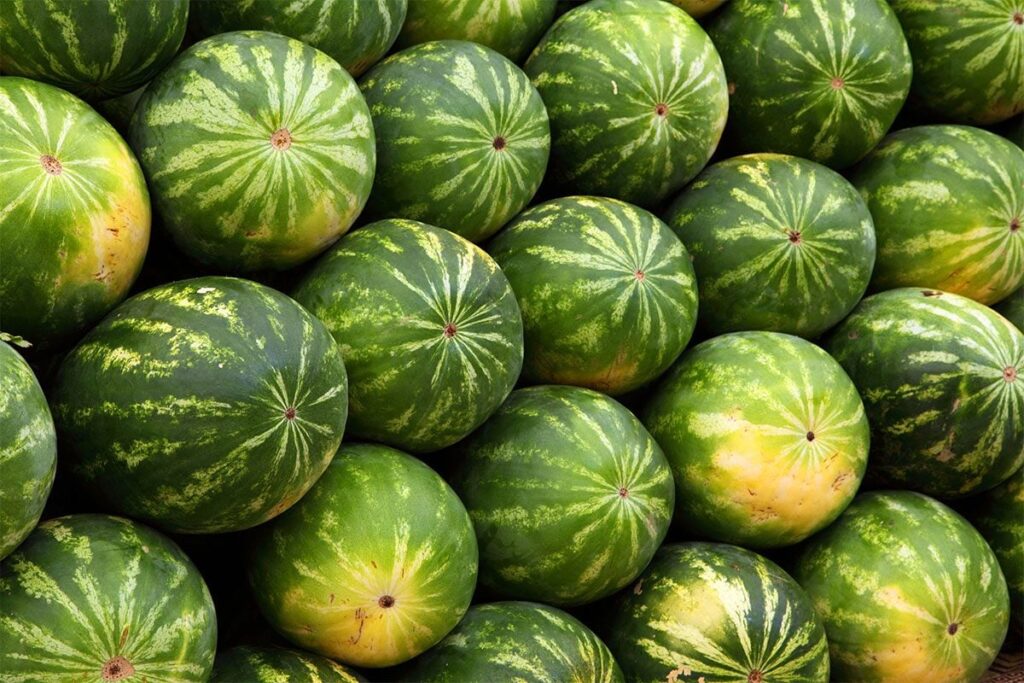 How to Pick a Perfect Watermelon How to Pick a Perfect Watermelon