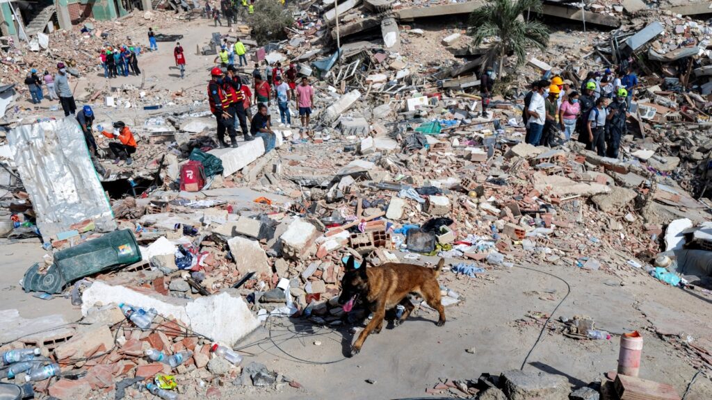 UN launches appeal for nearly $300 million in Venezuela quake relief UN launches appeal for nearly $300 million in Venezuela quake relief