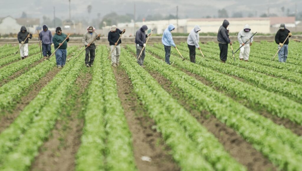 Sunday Edition: Farm Bill 2.0 Sunday Edition: Farm Bill 2.0