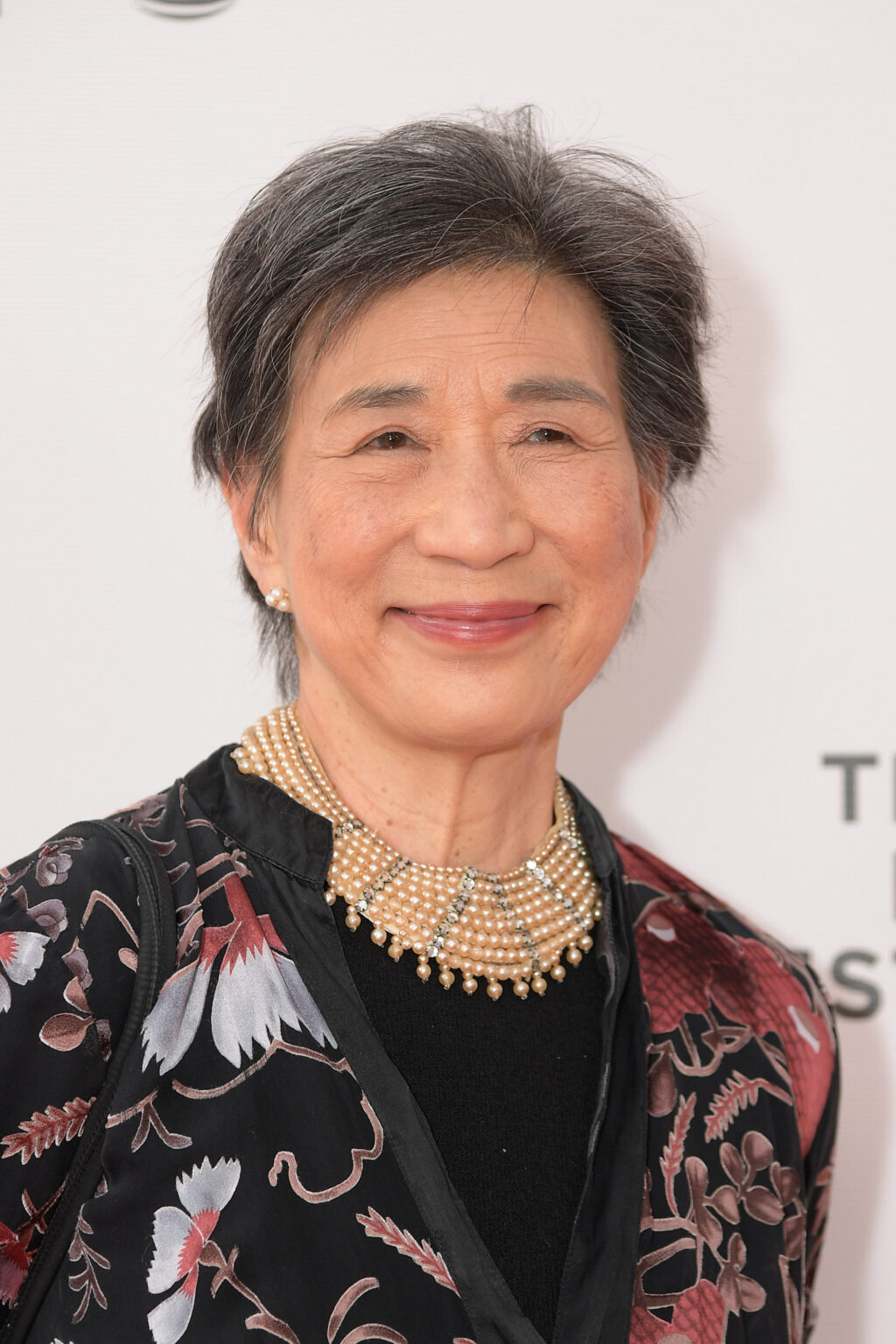 Wai Ching Ho, Veteran Actor Who Appeared in ‘Daredevil’ and ‘Iron Fist,’ Dies at 82 Wai Ching Ho, Veteran Actor Who Appeared in ‘Daredevil’ and ‘Iron Fist,’ Dies at 82