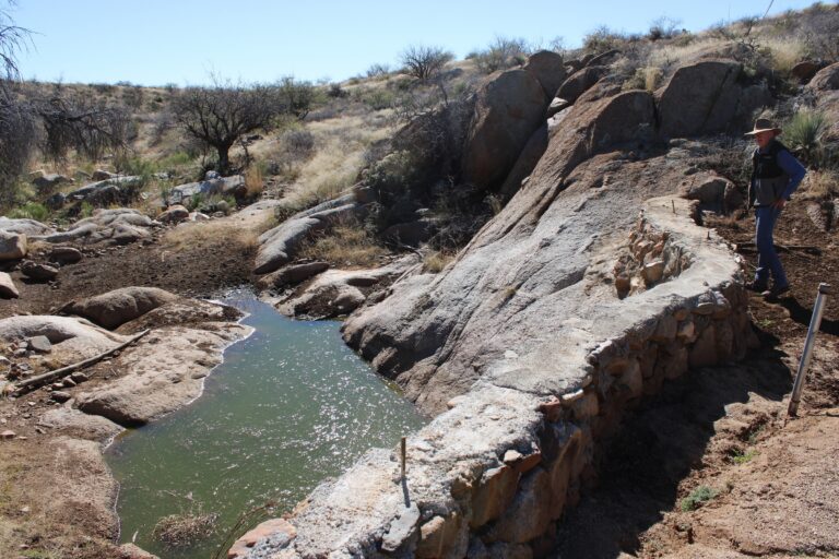 Ancient rock structures help restore biodiversity on the US-Mexico border Ancient rock structures help restore biodiversity on the US-Mexico border