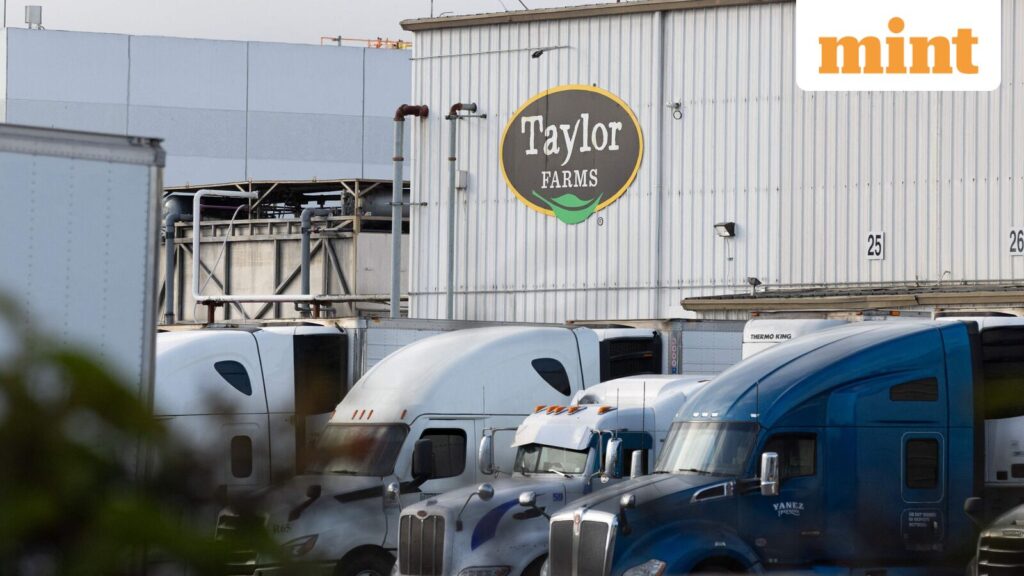 Cyclosporiasis outbreak in US: Supplier Taylor Farms recalls lettuce sourced from central Mexico as thousands fall ill Cyclosporiasis outbreak in US: Supplier Taylor Farms recalls lettuce sourced from central Mexico as thousands fall ill