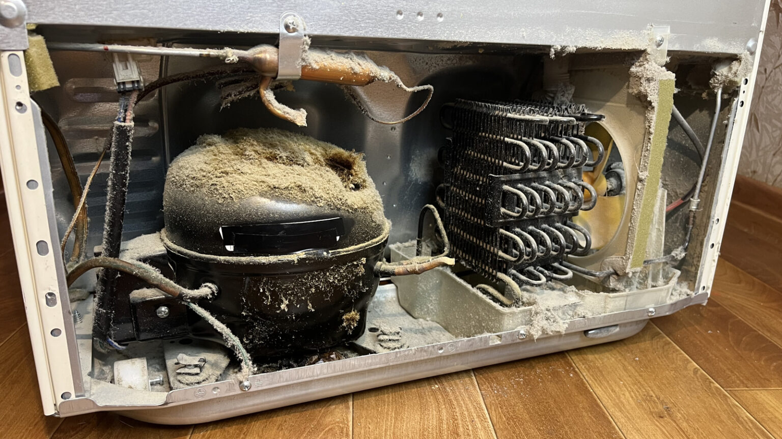 How To Clean Refrigerator Condenser Coils (And How Often You Should) How To Clean Refrigerator Condenser Coils (And How Often You Should)
