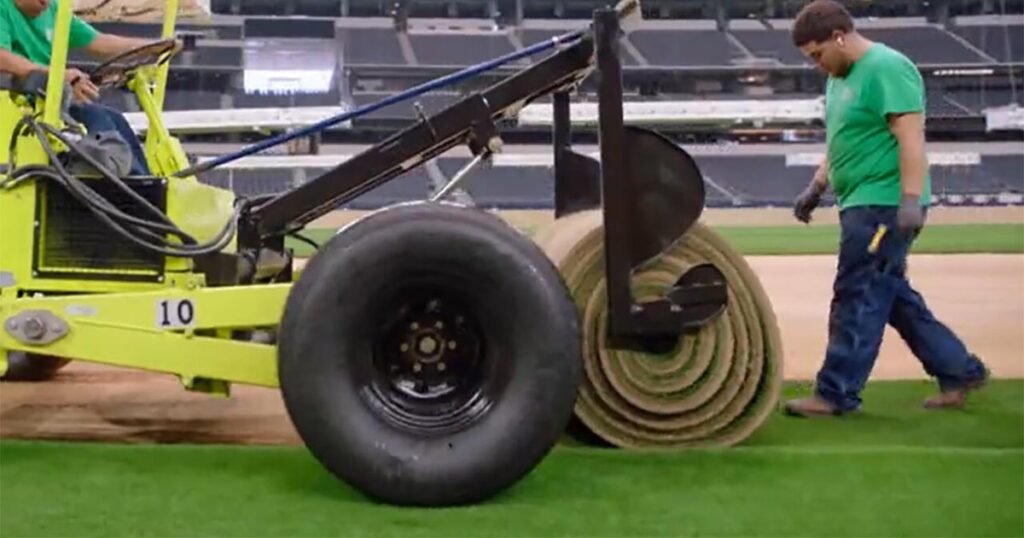 Pitch perfect: Developing natural grass for the World Cup Pitch perfect: Developing natural grass for the World Cup