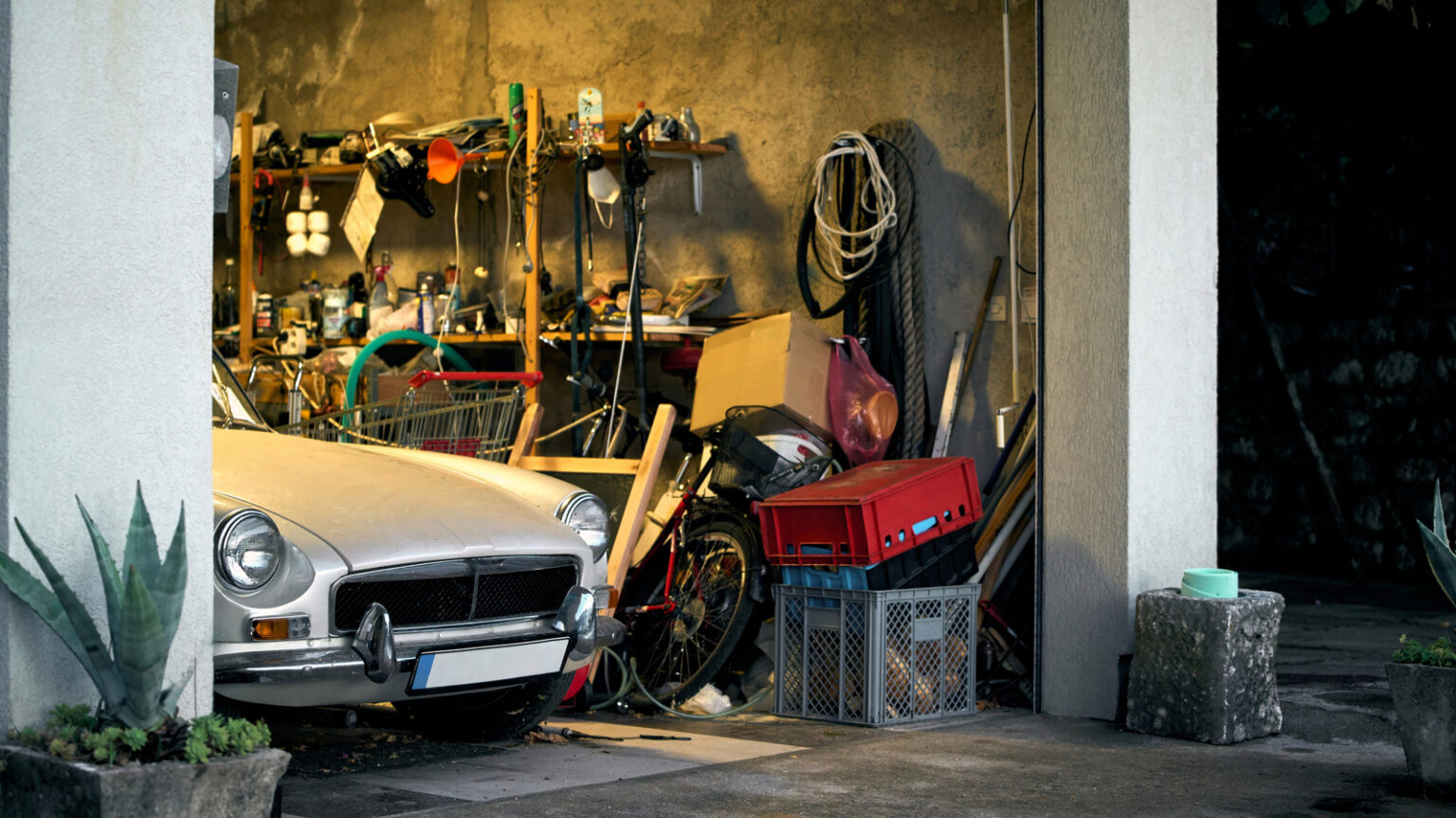 How To Clean Mold Out Of Your Garage (And Make Sure It Doesn’t Come Back) How To Clean Mold Out Of Your Garage (And Make Sure It Doesn’t Come Back)