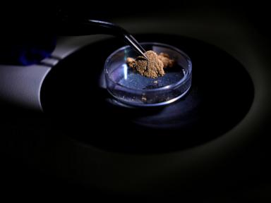 Brazil uses forensic science to trace gold’s origin and tackle illegal mining in the Amazon Brazil uses forensic science to trace gold’s origin and tackle illegal mining in the Amazon